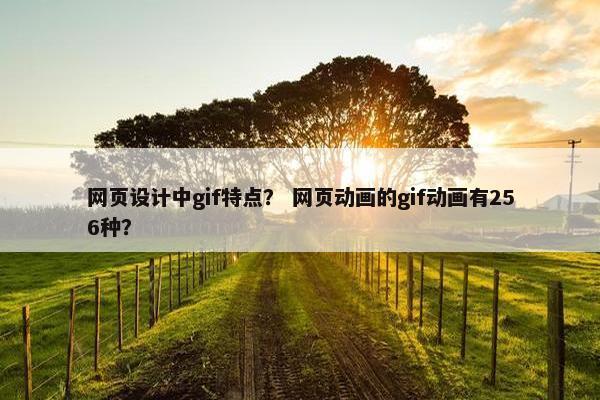 网页设计中gif特点？ 网页动画的gif动画有256种？