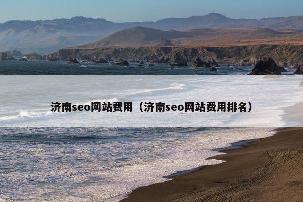 济南seo网站费用（济南seo网站费用排名）