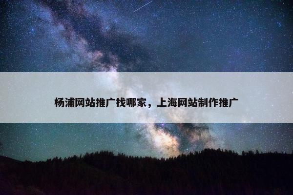 杨浦网站推广找哪家，上海网站制作推广