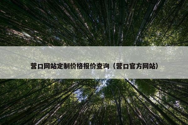 营口网站定制价格报价查询（营口官方网站）