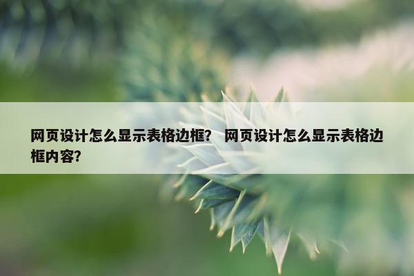 网页设计怎么显示表格边框？ 网页设计怎么显示表格边框内容？