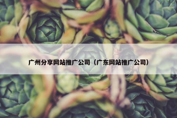 广州分享网站推广公司（广东网站推广公司）