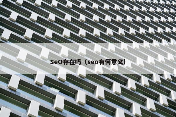 SeO存在吗（seo有何意义）