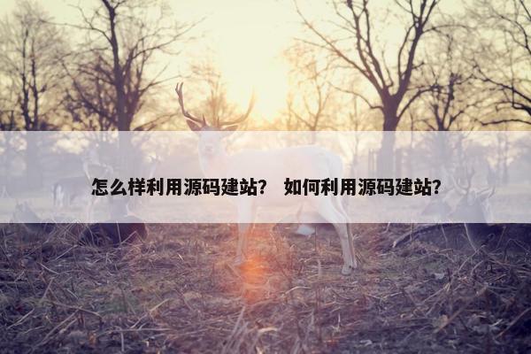 怎么样利用源码建站？ 如何利用源码建站？
