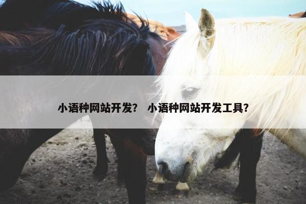 小语种网站开发？ 小语种网站开发工具？