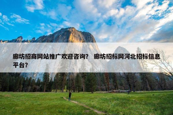 廊坊招商网站推广欢迎咨询？ 廊坊招标网河北招标信息平台？
