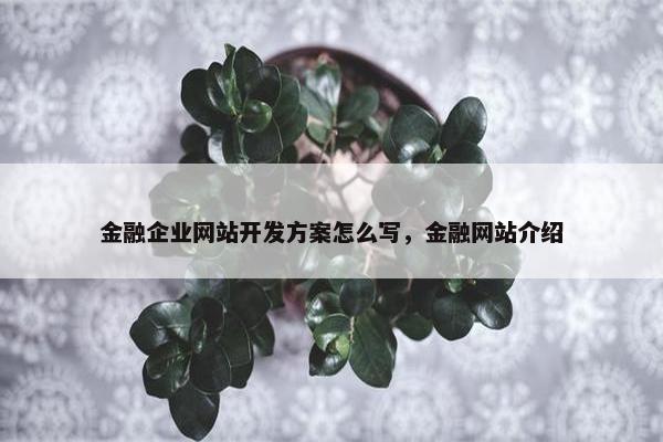 金融企业网站开发方案怎么写，金融网站介绍