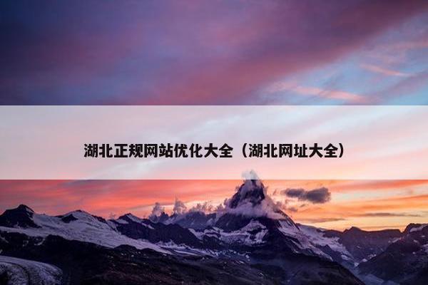湖北正规网站优化大全（湖北网址大全）