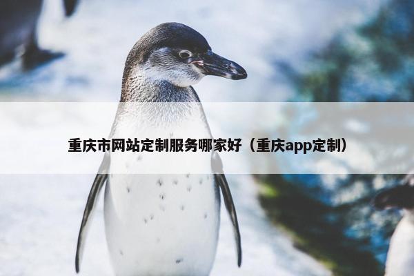 重庆市网站定制服务哪家好（重庆app定制）