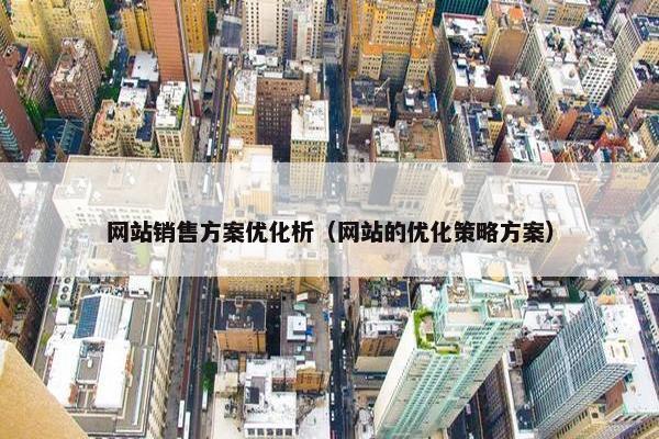 网站销售方案优化析（网站的优化策略方案）