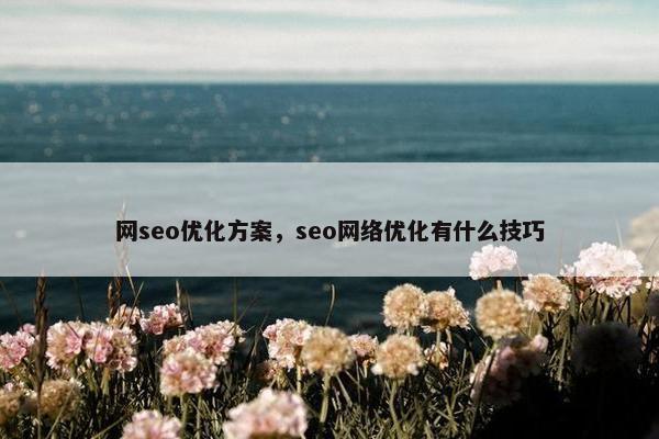 网seo优化方案，seo网络优化有什么技巧