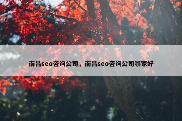 南昌seo咨询公司，南昌seo咨询公司哪家好