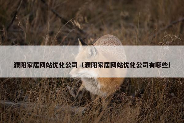 濮阳家居网站优化公司（濮阳家居网站优化公司有哪些）