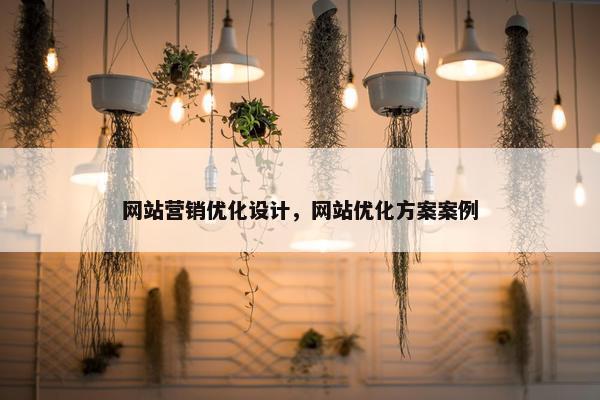 网站营销优化设计，网站优化方案案例