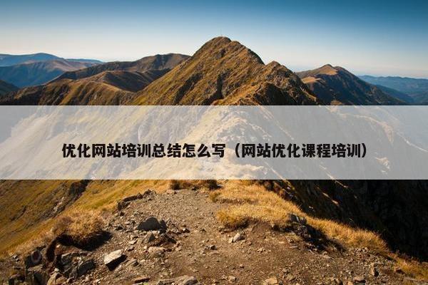 优化网站培训总结怎么写（网站优化课程培训）