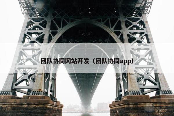 团队协同网站开发（团队协同app）