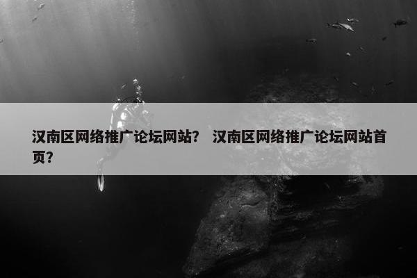 汉南区网络推广论坛网站？ 汉南区网络推广论坛网站首页？