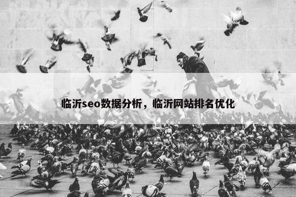 临沂seo数据分析，临沂网站排名优化