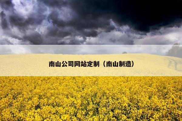 南山公司网站定制（南山制造）