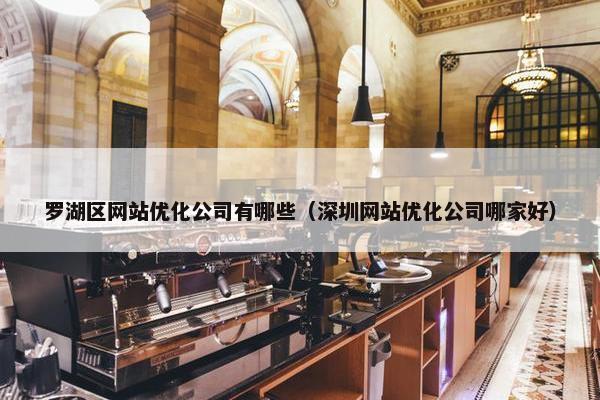 罗湖区网站优化公司有哪些（深圳网站优化公司哪家好）
