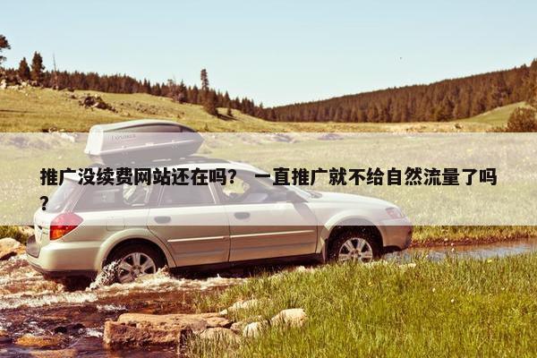 推广没续费网站还在吗？ 一直推广就不给自然流量了吗？