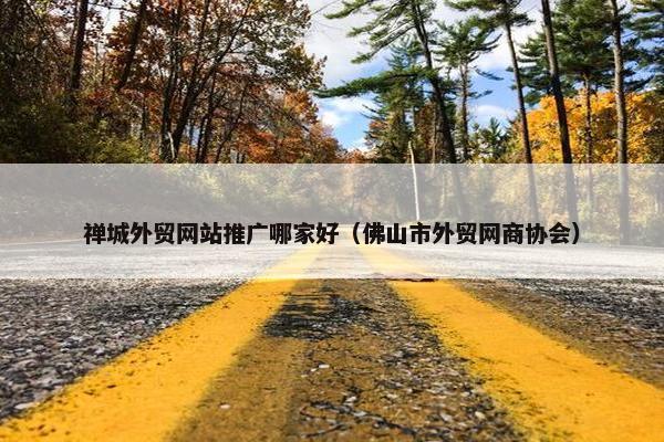 禅城外贸网站推广哪家好（佛山市外贸网商协会）
