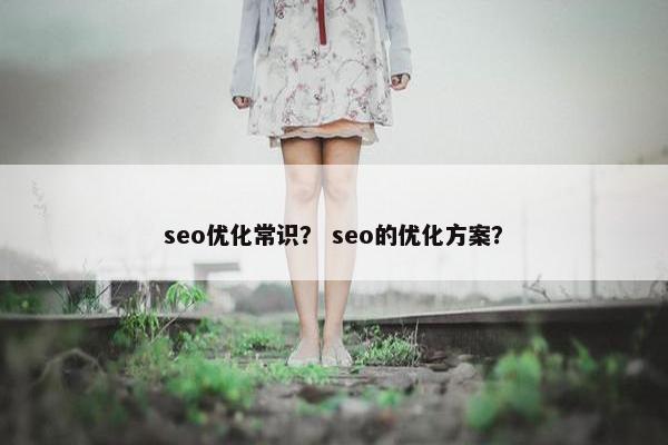 seo优化常识？ seo的优化方案？