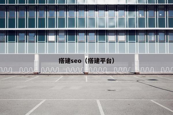 搭建seo（搭建平台）