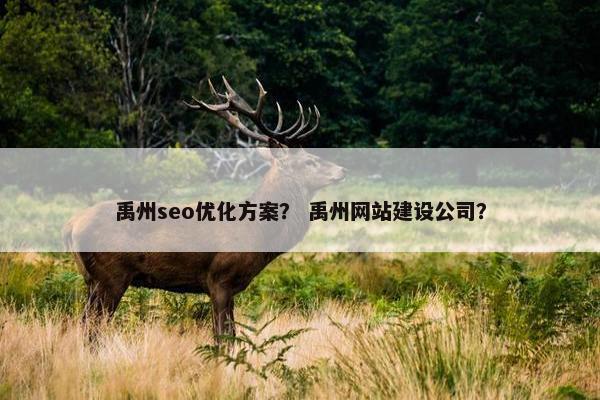 禹州seo优化方案？ 禹州网站建设公司？