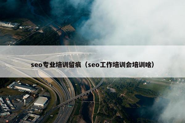 seo专业培训留痕（seo工作培训会培训啥）