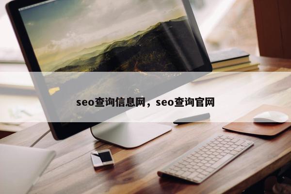 seo查询信息网，seo查询官网