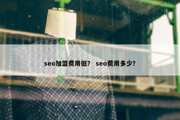 seo加盟费用低？ seo费用多少？