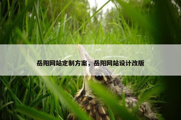 岳阳网站定制方案，岳阳网站设计改版