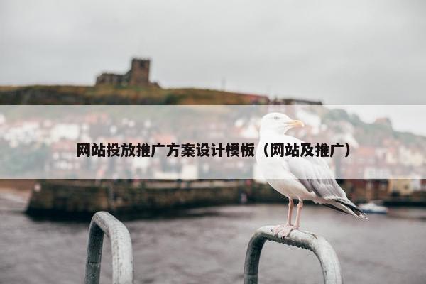 网站投放推广方案设计模板（网站及推广）