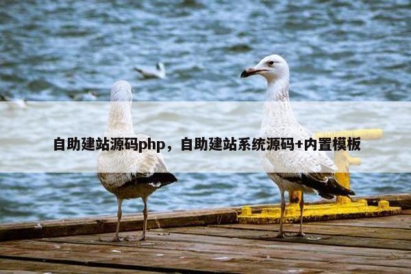 自助建站源码php，自助建站系统源码+内置模板