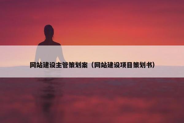 网站建设主管策划案（网站建设项目策划书）