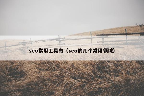 seo常用工具有（seo的几个常用领域）