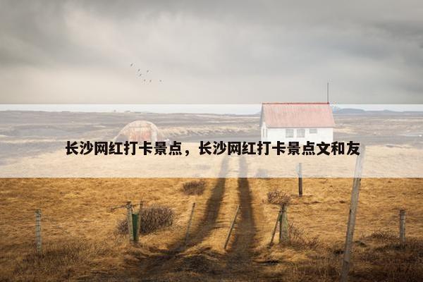 长沙网红打卡景点，长沙网红打卡景点文和友