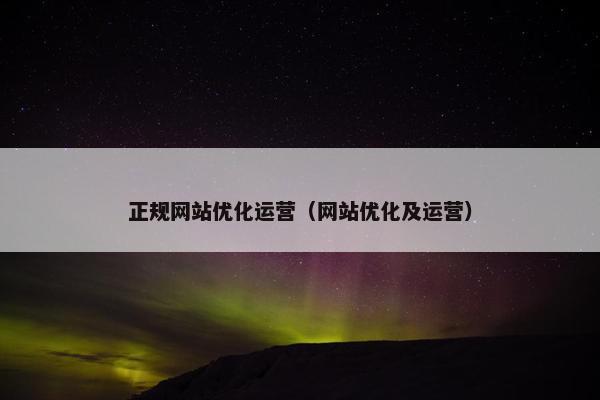 正规网站优化运营（网站优化及运营）