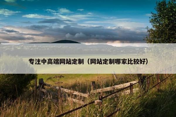 专注中高端网站定制（网站定制哪家比较好）