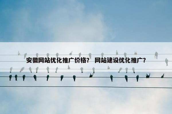 安徽网站优化推广价格？ 网站建设优化推广？