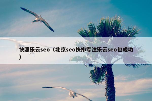 快照乐云seo（北京seo快排专注乐云seo包成功）