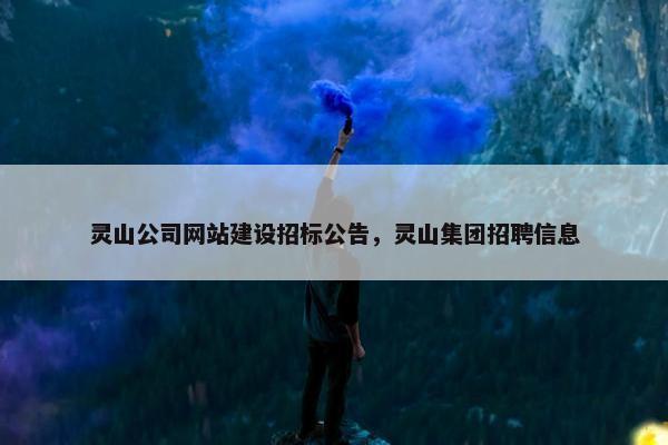 灵山公司网站建设招标公告，灵山集团招聘信息