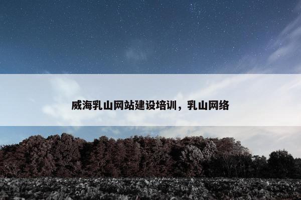 威海乳山网站建设培训，乳山网络
