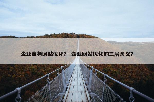 企业商务网站优化？ 企业网站优化的三层含义？