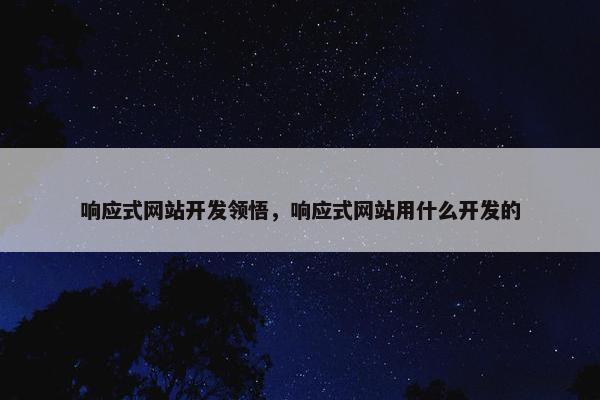 响应式网站开发领悟，响应式网站用什么开发的