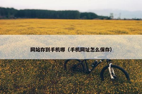 网站存到手机哪（手机网址怎么保存）