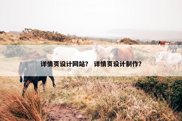 详情页设计网站？ 详情页设计制作？