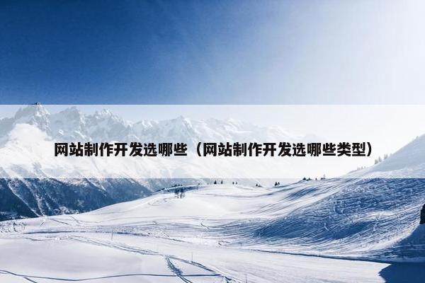 网站制作开发选哪些（网站制作开发选哪些类型）