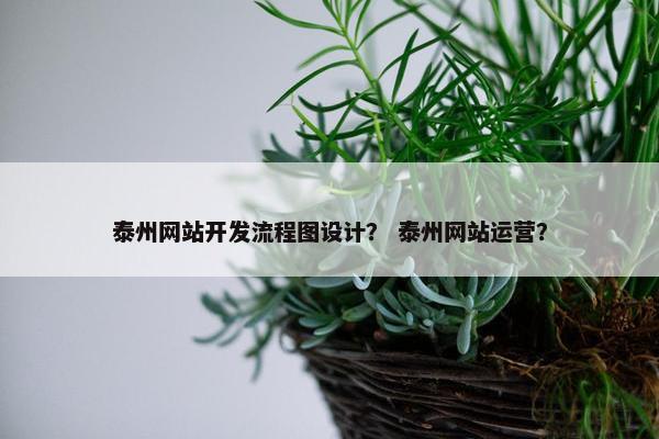 泰州网站开发流程图设计？ 泰州网站运营？